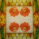 118 Tulpen - 3-lagig - Ambiente